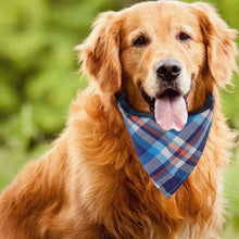 Load image into Gallery viewer, Dog Bandanas -Large